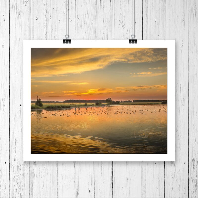 Livermere Lake Golden Sunset
