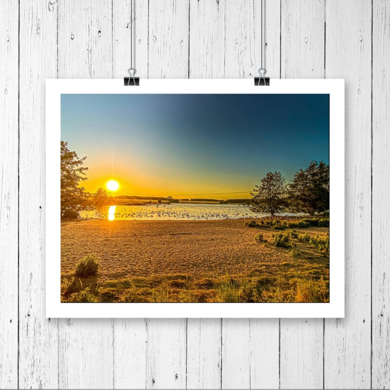 Livermere Lake Golden Summers Sunset